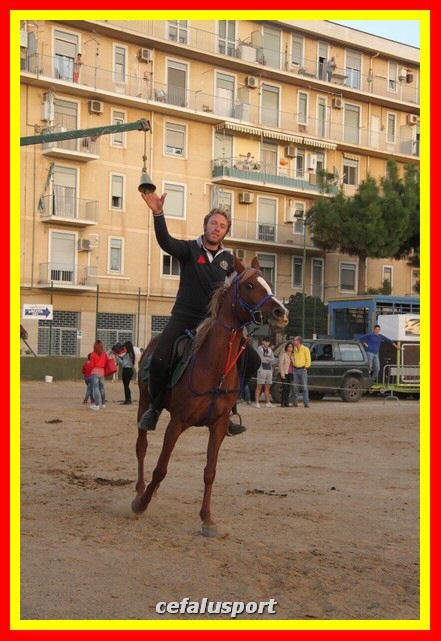 161106 equestre 086_tn.jpg
